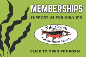Support Nile Creek Enhancement Society Salmon